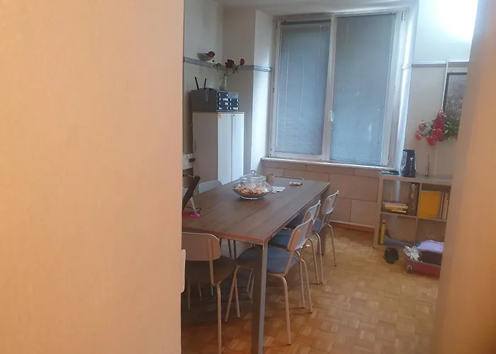 Family Flat 2 Bedrooms View Lugano